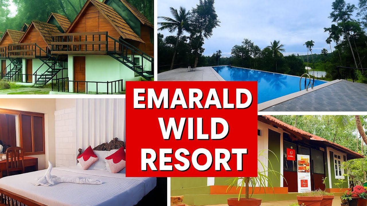 😀 Explore Mutanga Emerald Wild Resort |Nature, Luxury #foreststay #wayanad #peaceful 