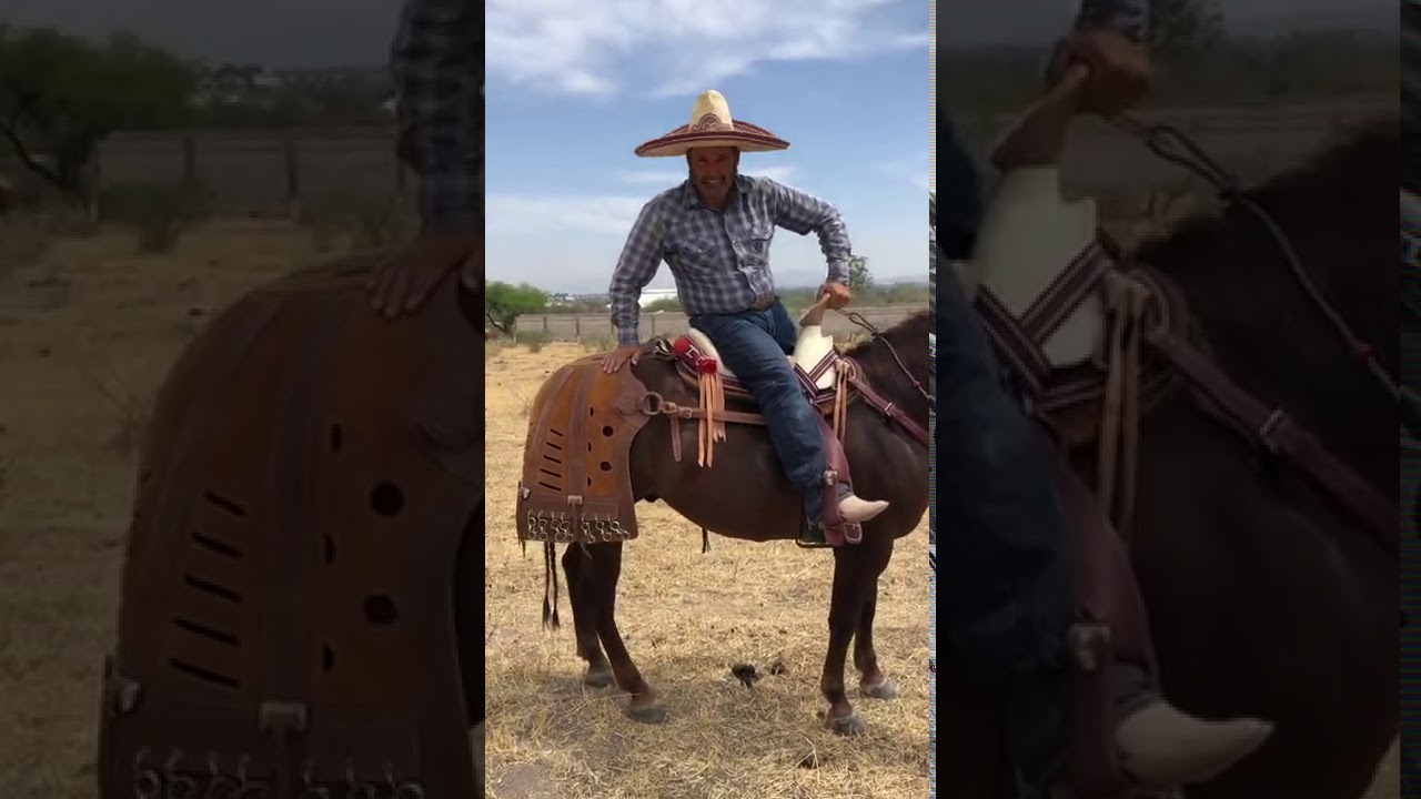 El uso de la anquera mexicana