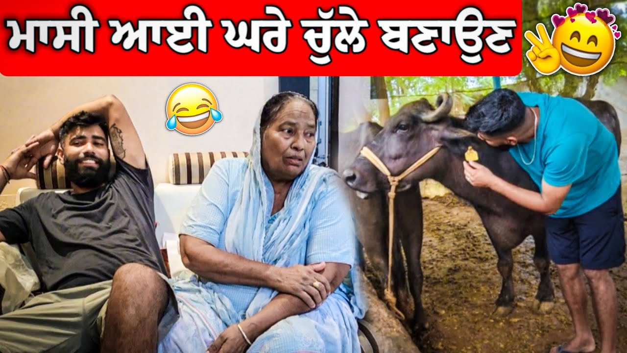ਮਾਸੀ ਆਈ ਘਰੇ ਚੁੱਲੇ ਬਣਾਉਣ 😍 ਮੱਝ ਨੇ New Baby ਕੀ ਦਿੱਤਾ ? 