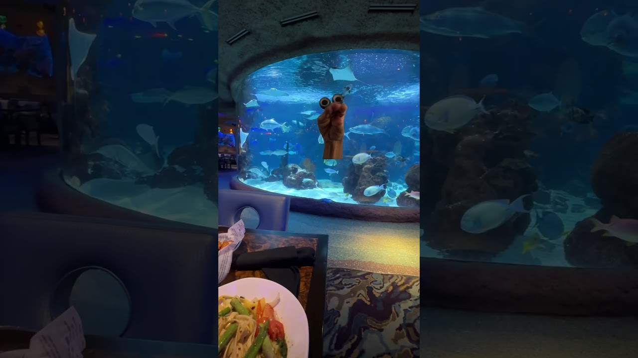 Don&rsquo;t let Puppies go to the bathroom 👀