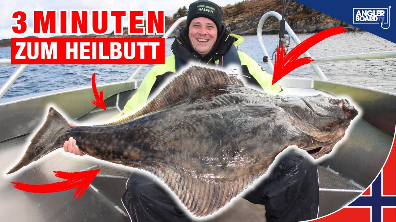 3 Minuten zum Heilbutt😱 | Vikna macht es möglich 🎣 | unglaubliches Angeln in Norwegen