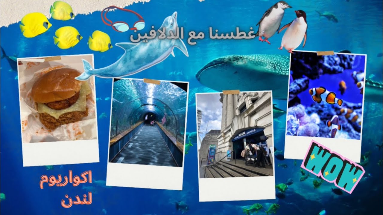 رحلة مليئة بالمفاجات 🤩ماكمش راح تصدقو وش شفنا🐳🫨🐠🌊