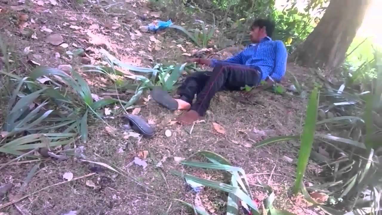 chinta chettu lovely creations short film