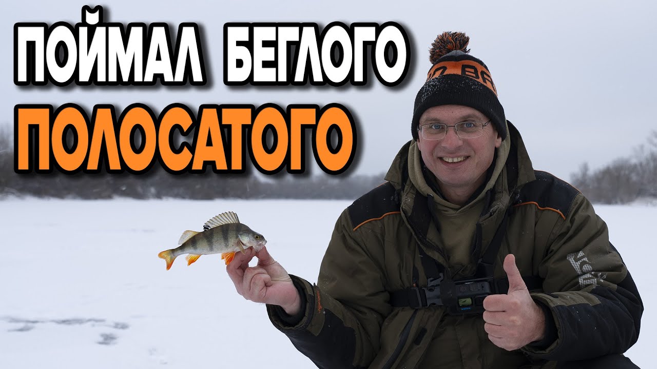 Второй первый лёд! Такого окуня на зимней рыбалке Дядя Фёдор ещё не ловил!