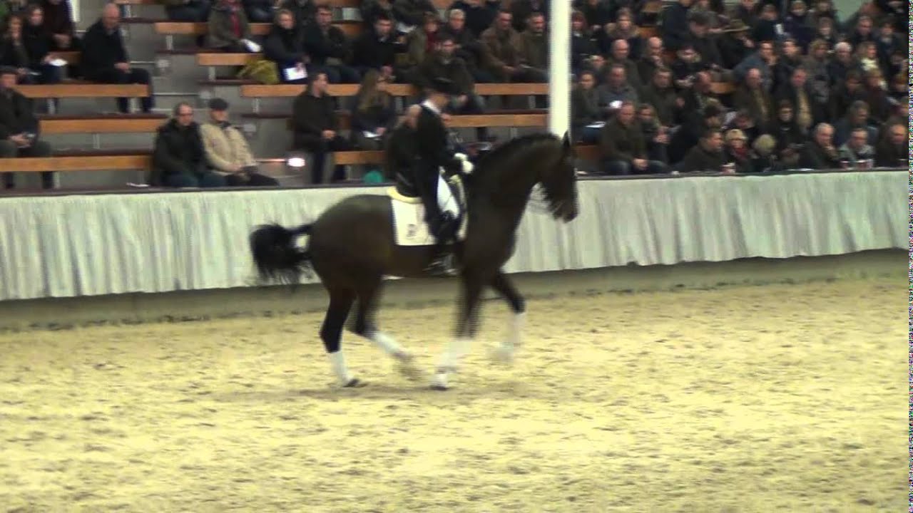 BORDEAUX (United x Gribaldi - Donnerhall) & Eva Möller