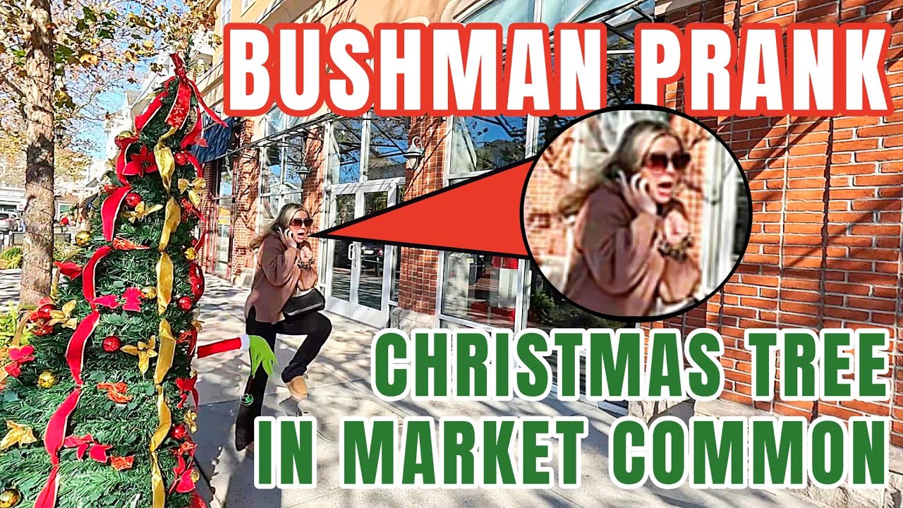 Bushman Pranks in Myrtle Beach - Market Common Christmas Tree 