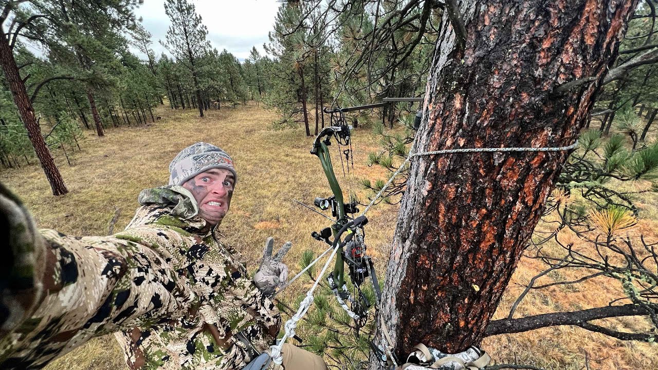 THE ULTIMATE Saddle Hunting Kit