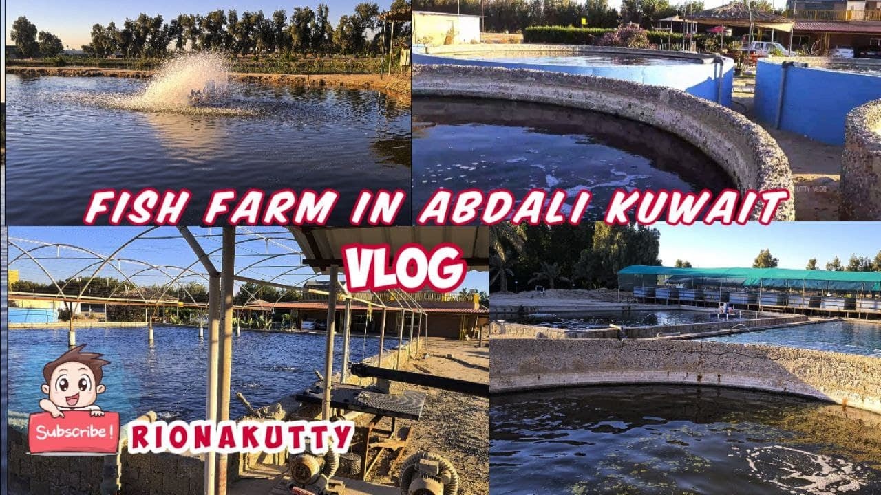 Fish Farm Abdaly In Kuwait