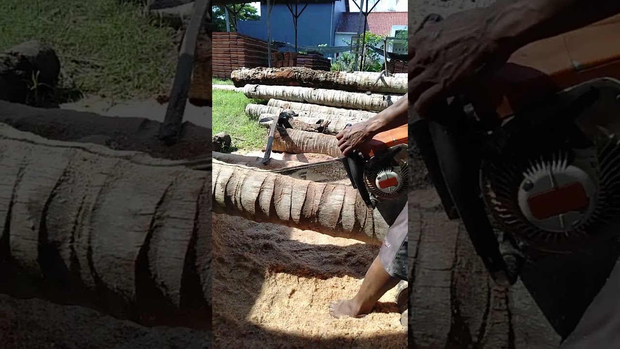 #Splitting coconut wood with an old saw machine