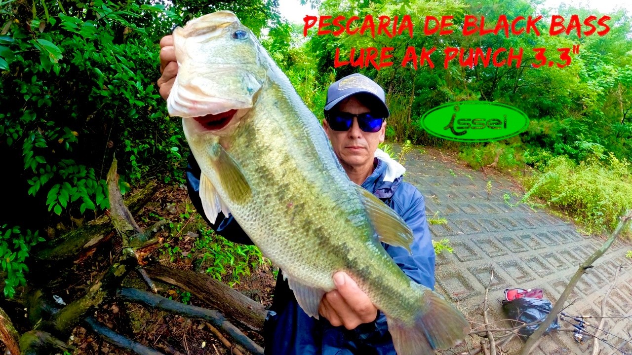 PESCARIA DE BLACK BASS - LURE AK PUNCH 3.3 inch - ISSEI - NO SINKER