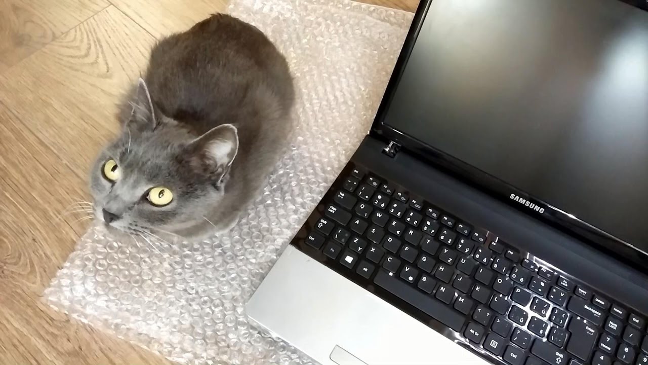 Разборка и замена клавиатуры Samsung NP NP300 / Disassembly and replacing the keyboard