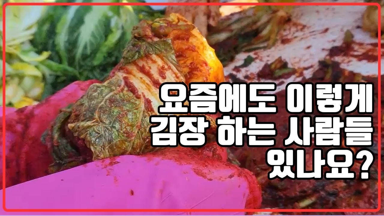 산더미 같은 배추가 순식간에 김치로? 온 가족이 함께한 첼리팜 김장 대작전