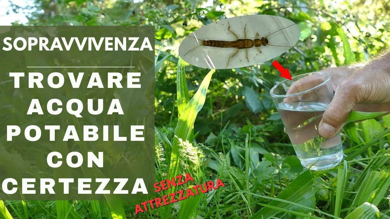 Trovare acqua potabile in sopravvivenza senza attrezzi