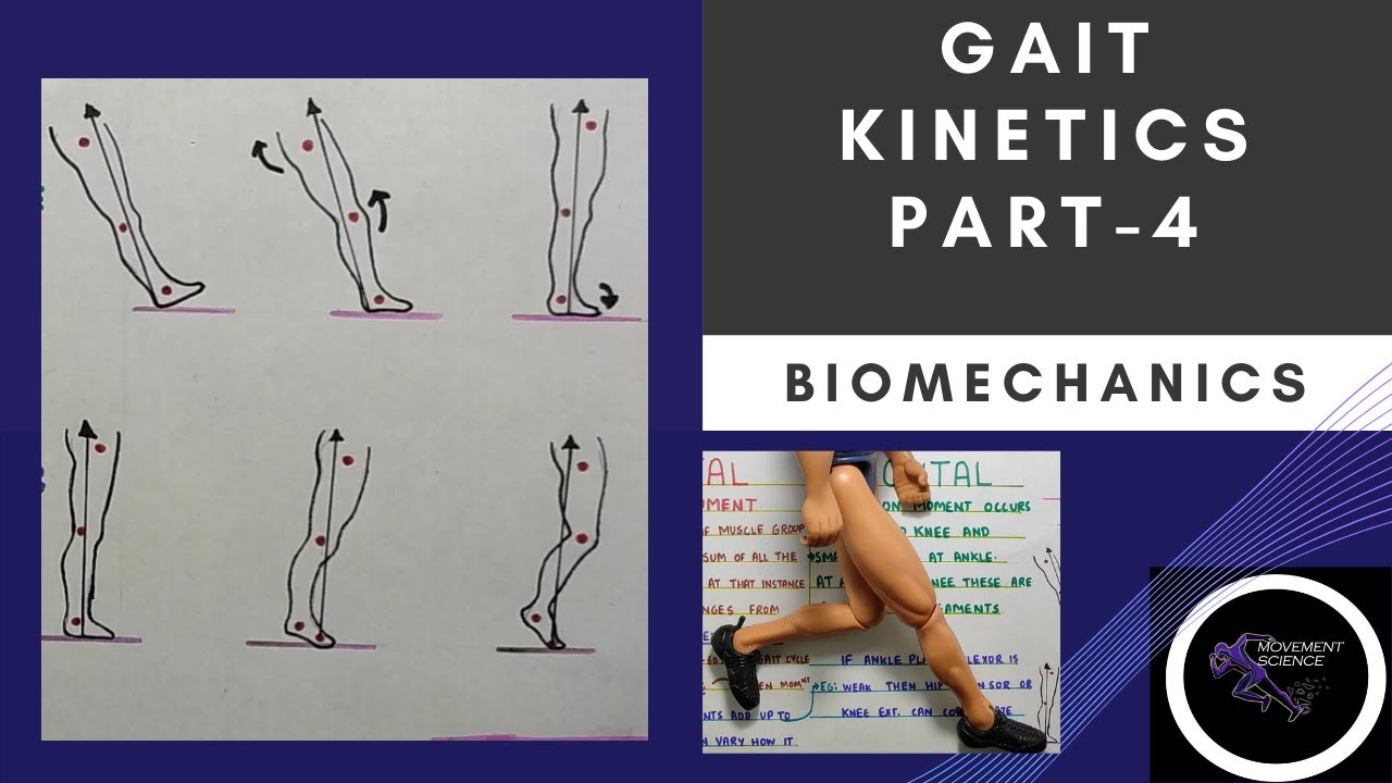 GAIT KINETICS -Part 4 (Gait Biomechanics)Physiotherapy Tutorial