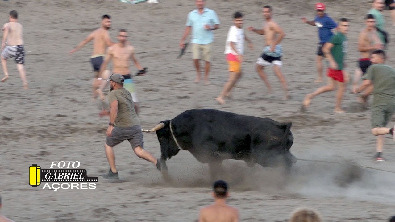 Tourada Areal Festas da Praia 13 Agosto 2023