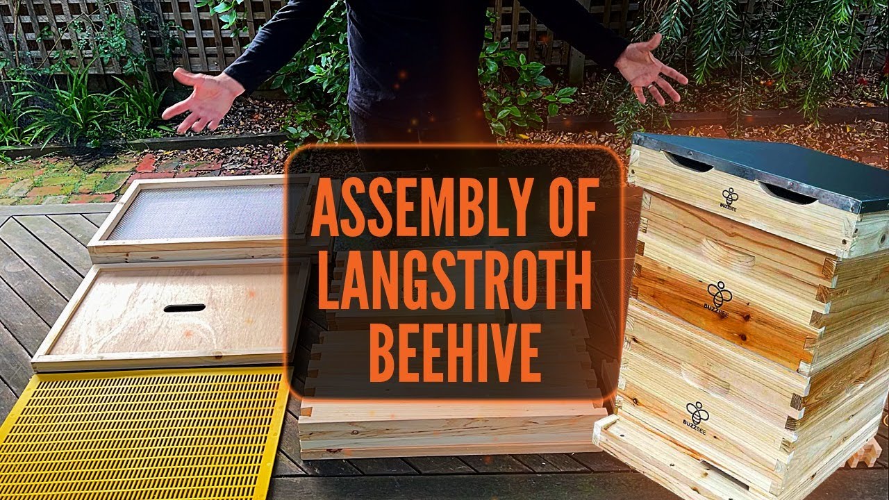 BuzzBee Langstroth Beehive Assembly &ndash; Step-by-Step Guide