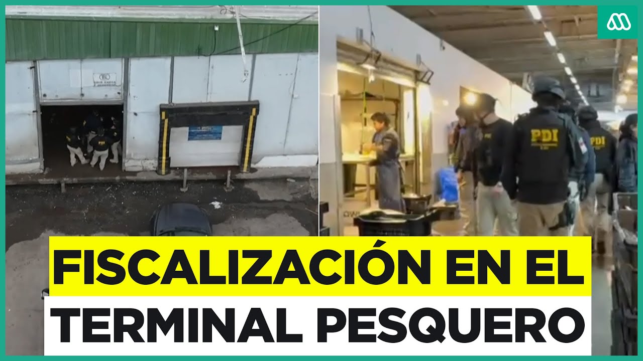 Fiscalizan el Terminal Pesquero por investigación contra organización de robo de salmón