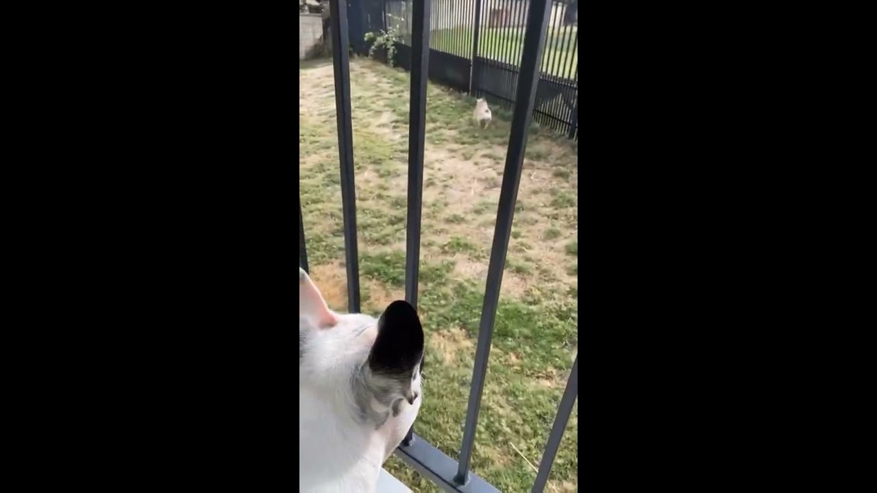 He is looking after her