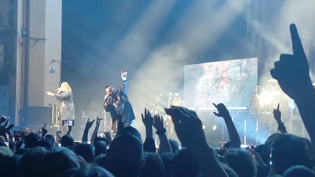 Three Days Grace - Break (Live)