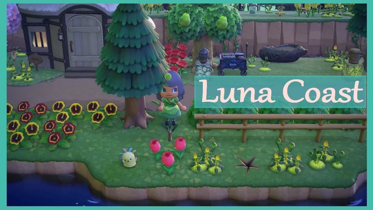 ACNH- Luna Coast Dream Address
