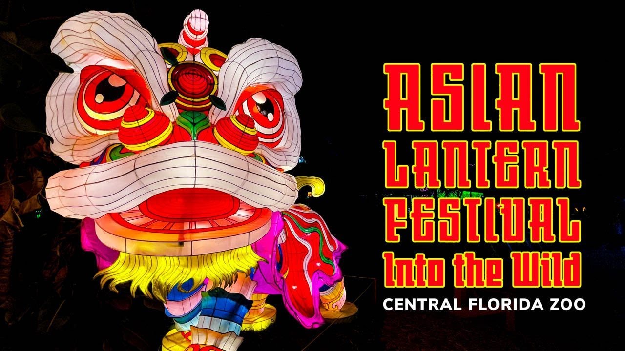 Asian Lantern Festival 2024: Be Amazed By Unbelievable Animal Lanterns at the Central Florida Zoo!