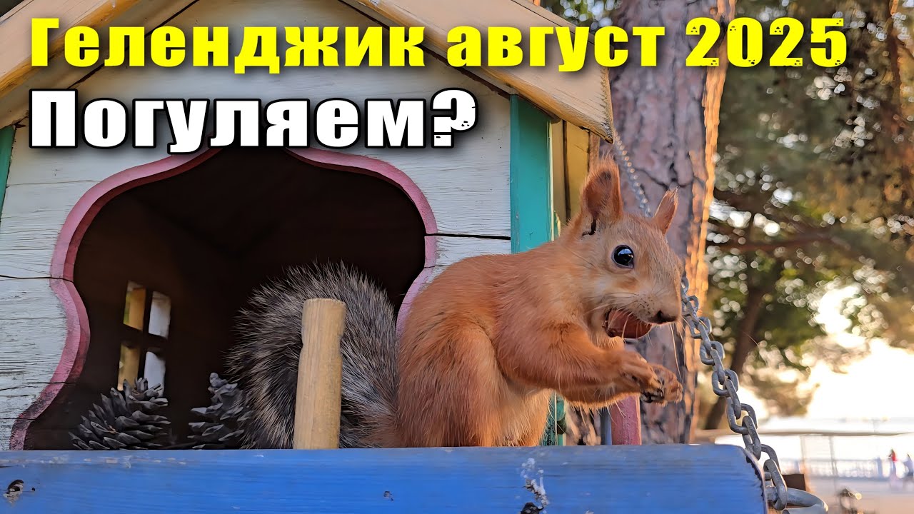 Геленджик август 2025 Набережная и ужин в ресторане 