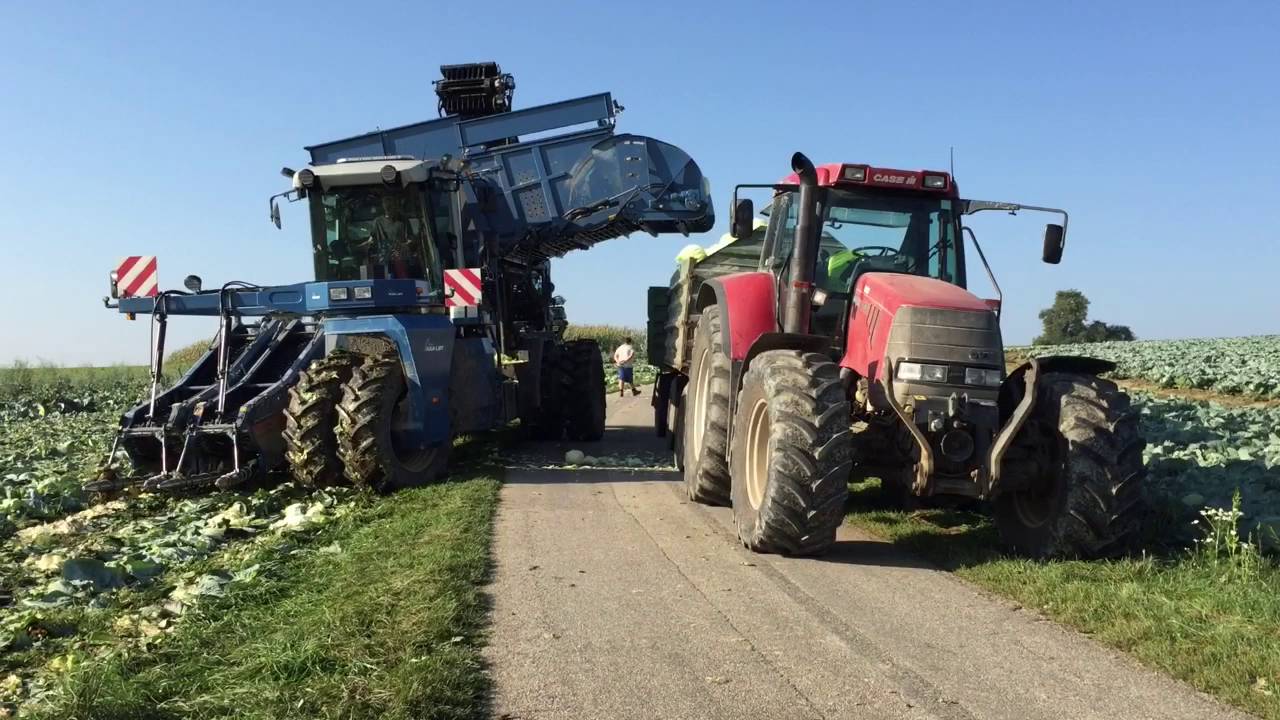 Amazing Vegetable Harvesting Machine
