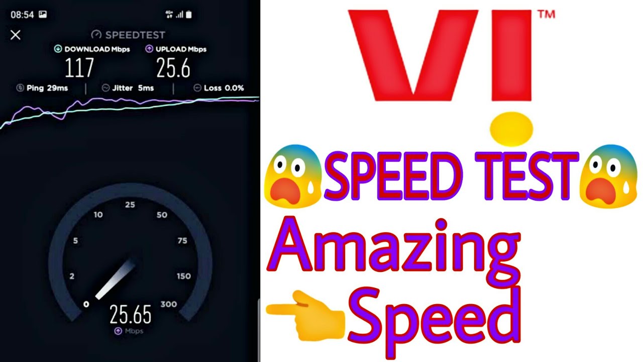 VI Sim Speed Test