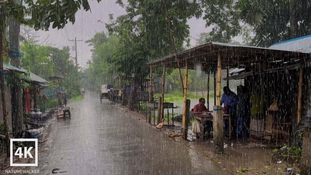 🌧️ Walking in Heavy Rain | Beautiful Village Rain Ambience | Nature Walker