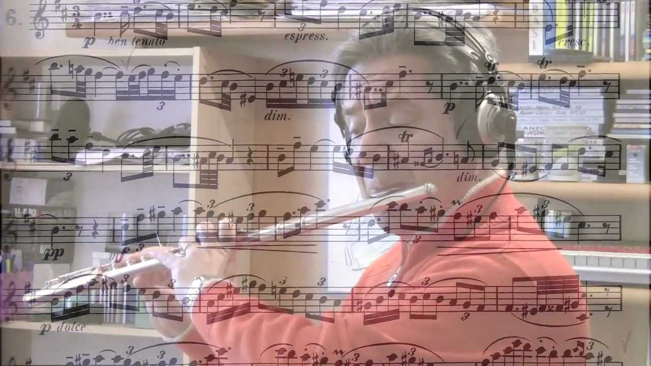 J.ANDERSEN -  Studio n.6 op.33(Harmonized)