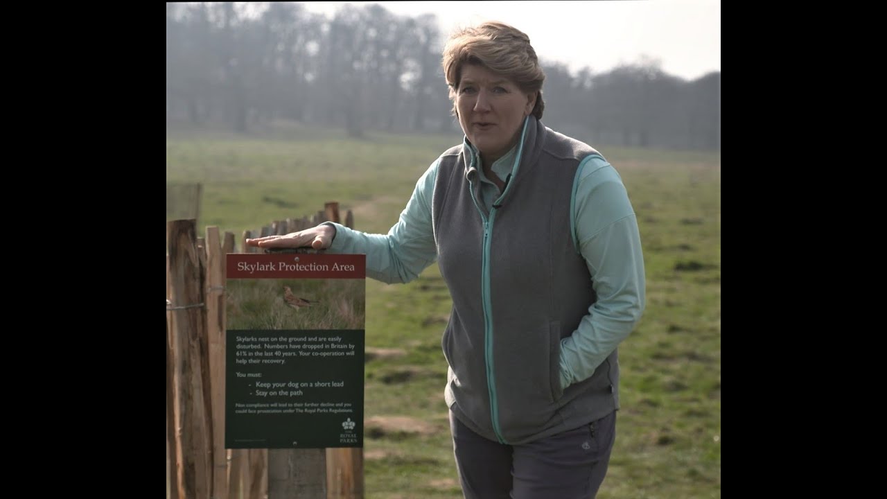 Protecting Skylarks in Richmond Park, with Clare Balding