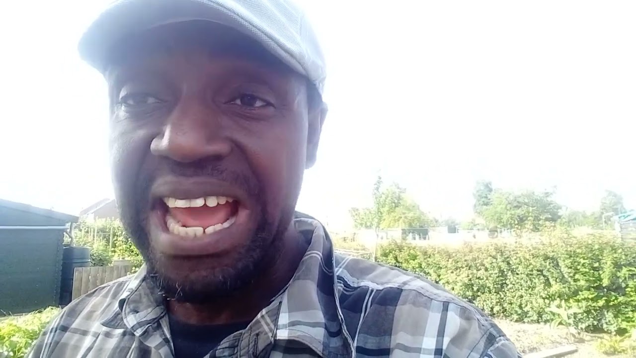 Few Basic Things  You Should  Consider  Before  Going Into Catfish Farming.