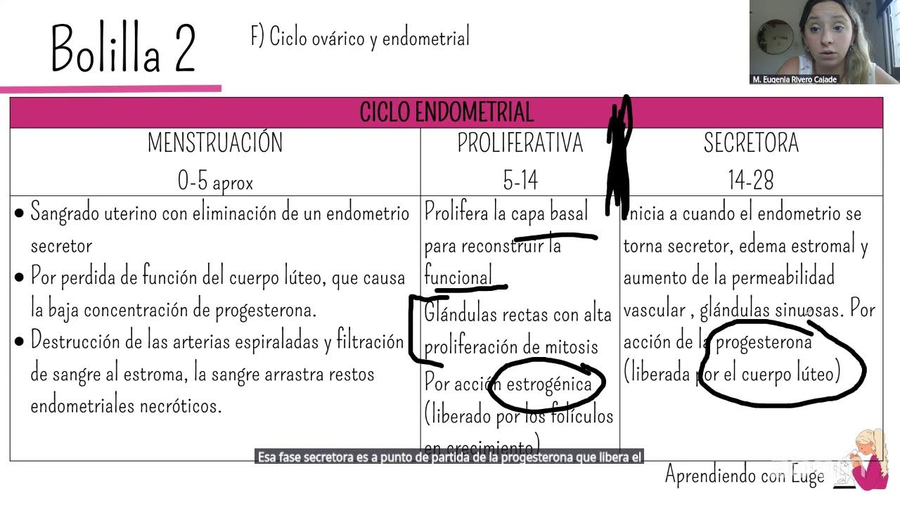 Curso prefinal histo de Viento con Aprendiendo con Euge 🧡 clase 1