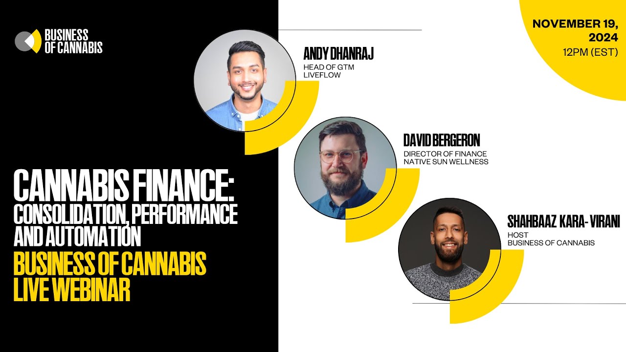 Cannabis Finance for Retailers: Consolidation, Performance and Automation