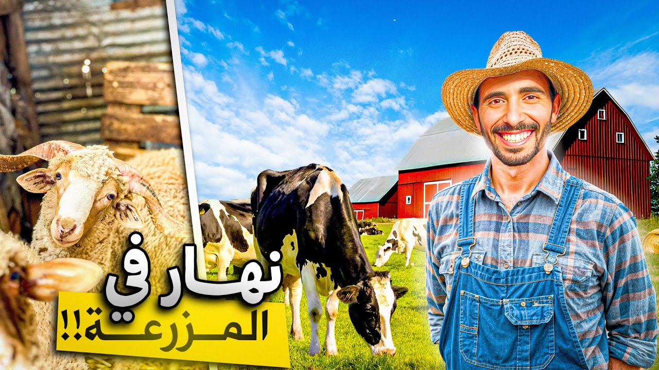 ها كفاش داز نهار ديالي في المزرعة👨‍🌾إطعام دجاج حتى🕊️🐏🐓
