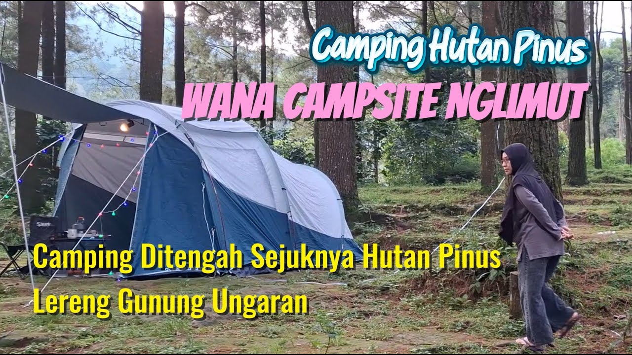 Pinusan Nglimut, Camping Di Hutan Pinus Lereng Gunung Ungaran