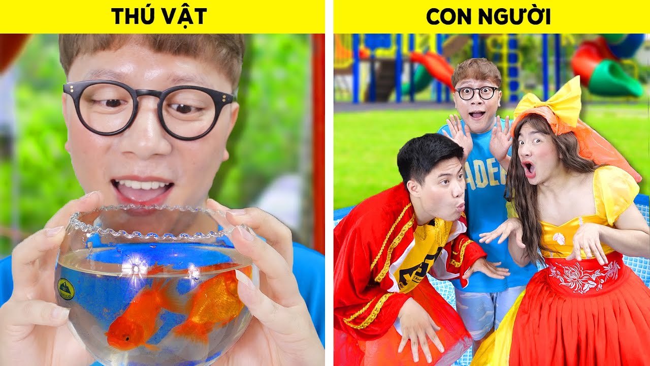 Khi Thú Vật Biến Thành Con Người! - Những Tình Huống Hài Hước Nhất