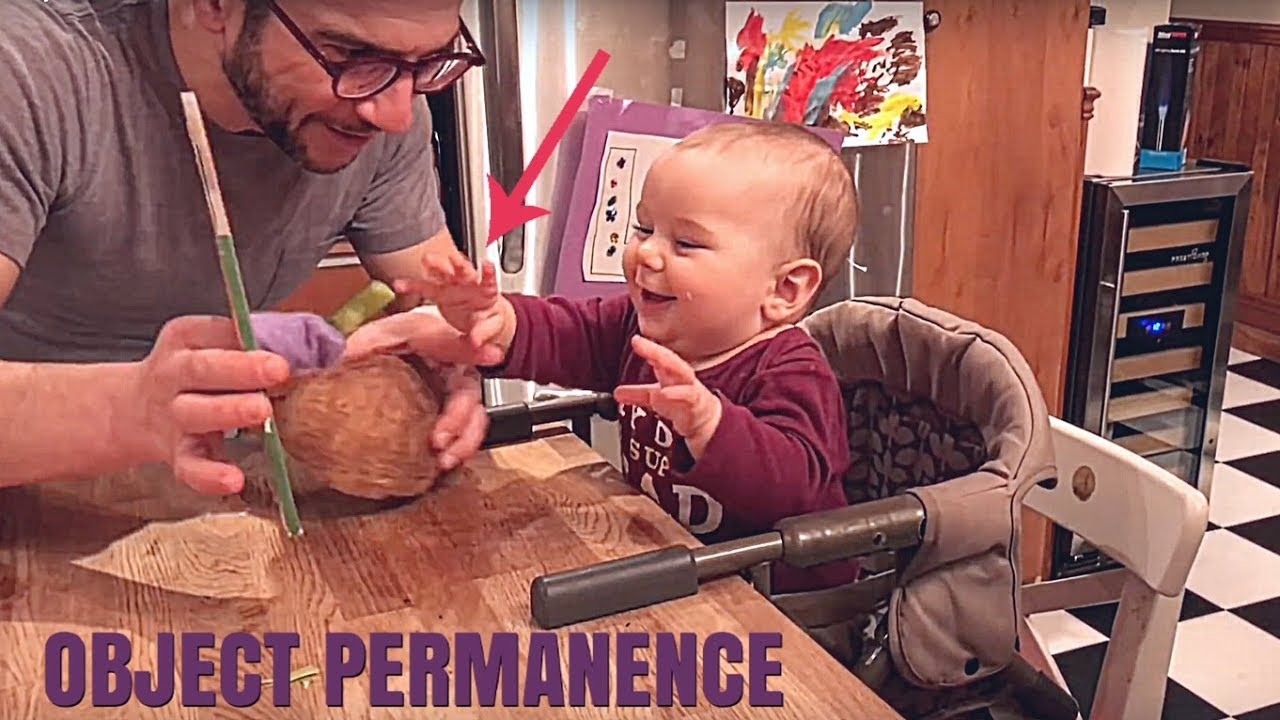 Object Permanence in babies... FUNNY AND INFORMATIVE!!!