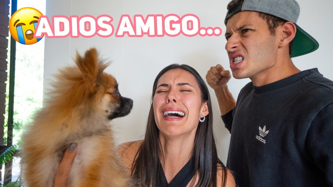 REGALE EL PERRO DE MI NOVIO *llora*