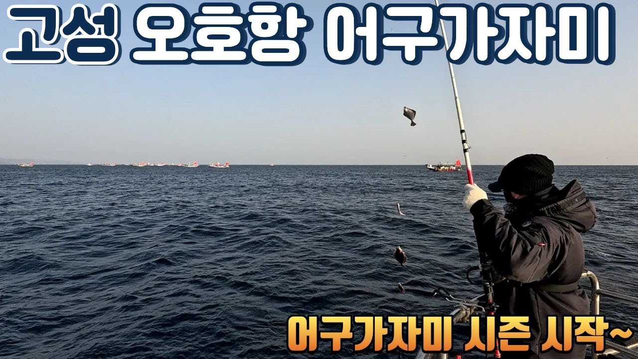 오호항 1월 16일 어구가자미 선상낚시 [더이글호]