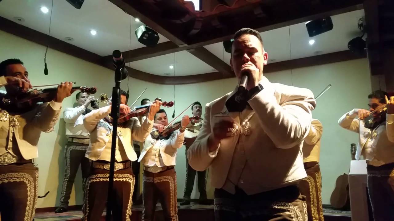 Sufriendo a solas con Mariachi los camperos