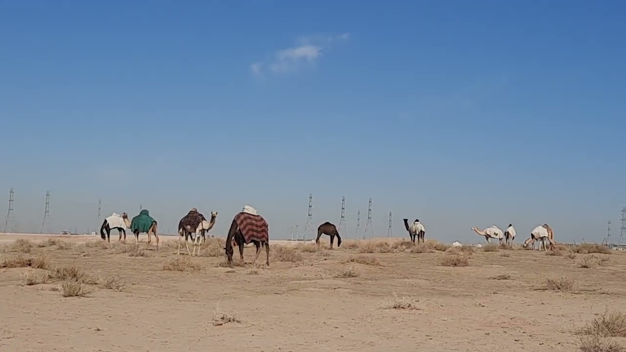 Saudi Arabia life is very difficult 