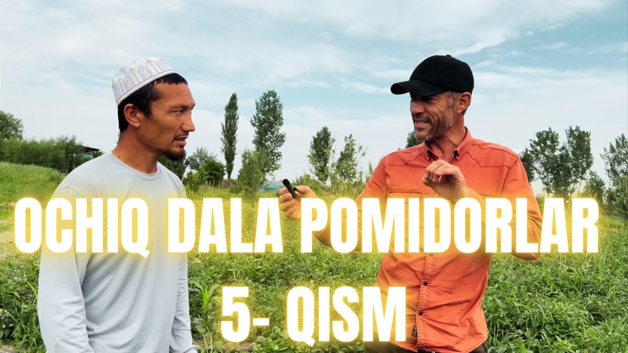 OCHIQ DALA POMIDORLARI 5- QISM (RISHTON TUMANI)