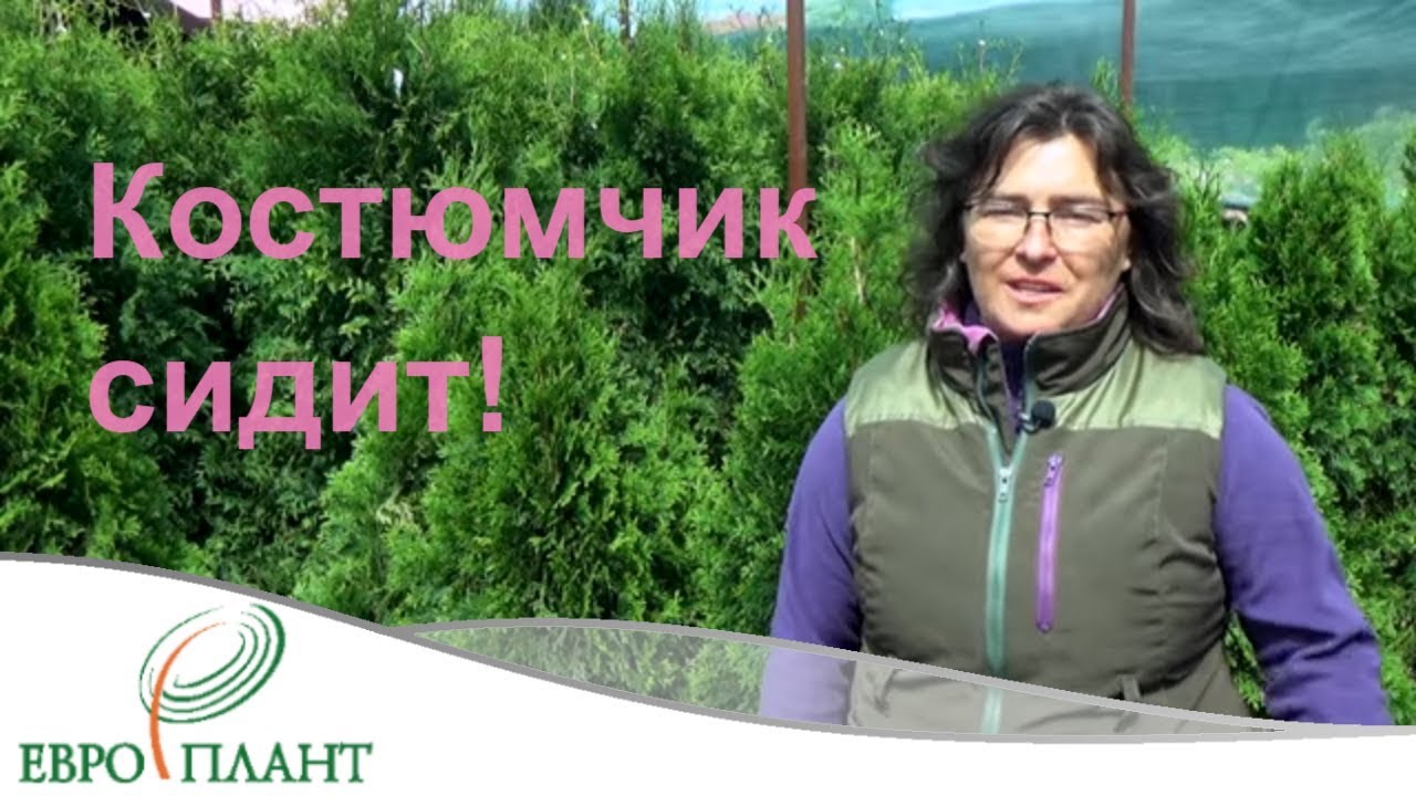 Садовая одежда: удобство или практичность?