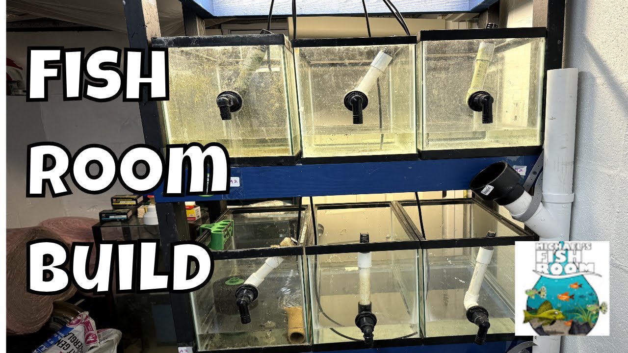 Fish Room Build Update!