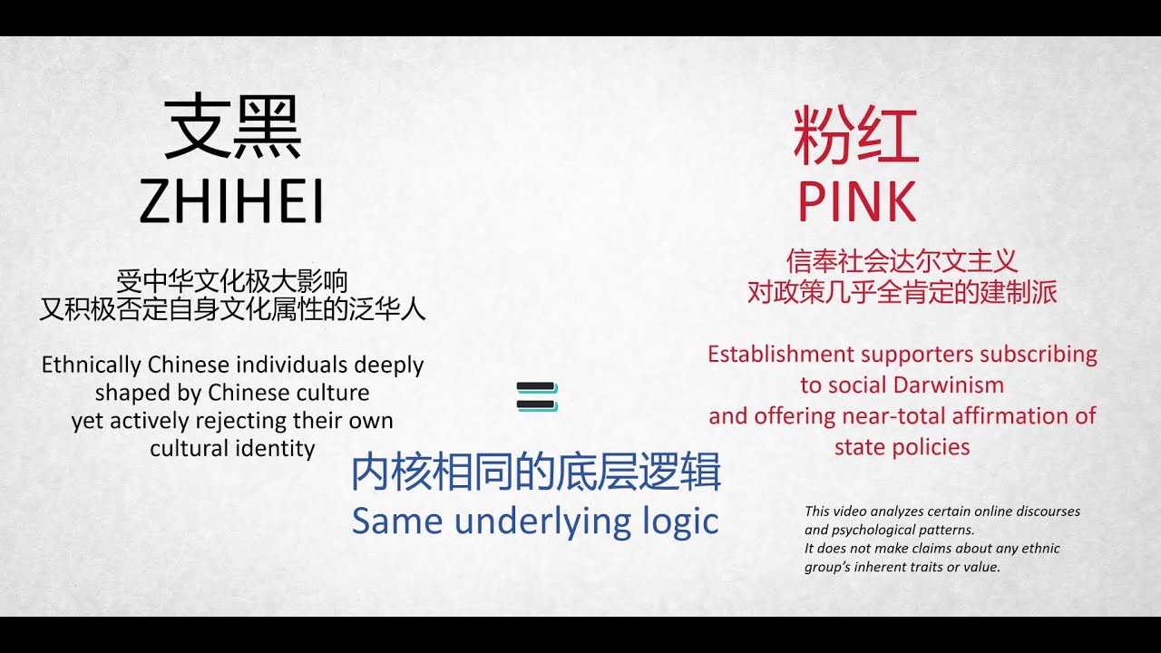 [EN/CN] 为什么说支黑和粉红共享底层逻辑? Why ZHIHEI and PINK Share the Same Underlying Logic?