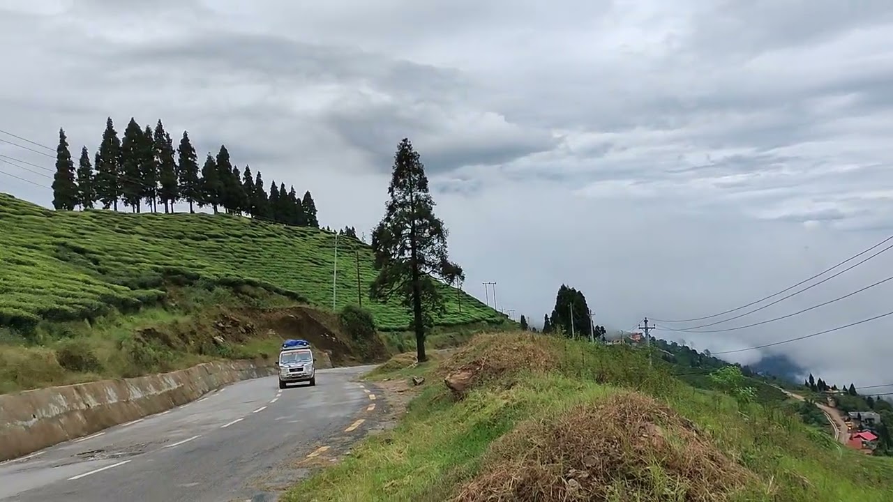 Nepal Tea garden