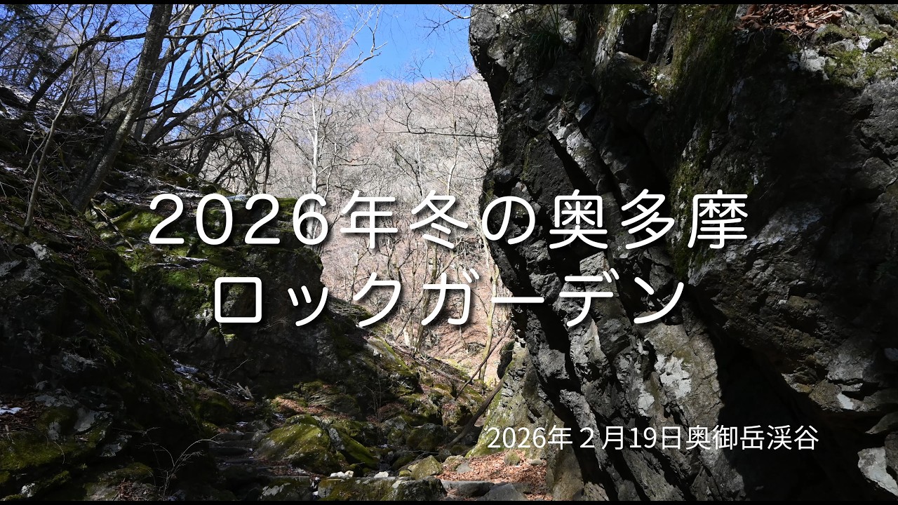 2026年2月19日冬のロックガーデン