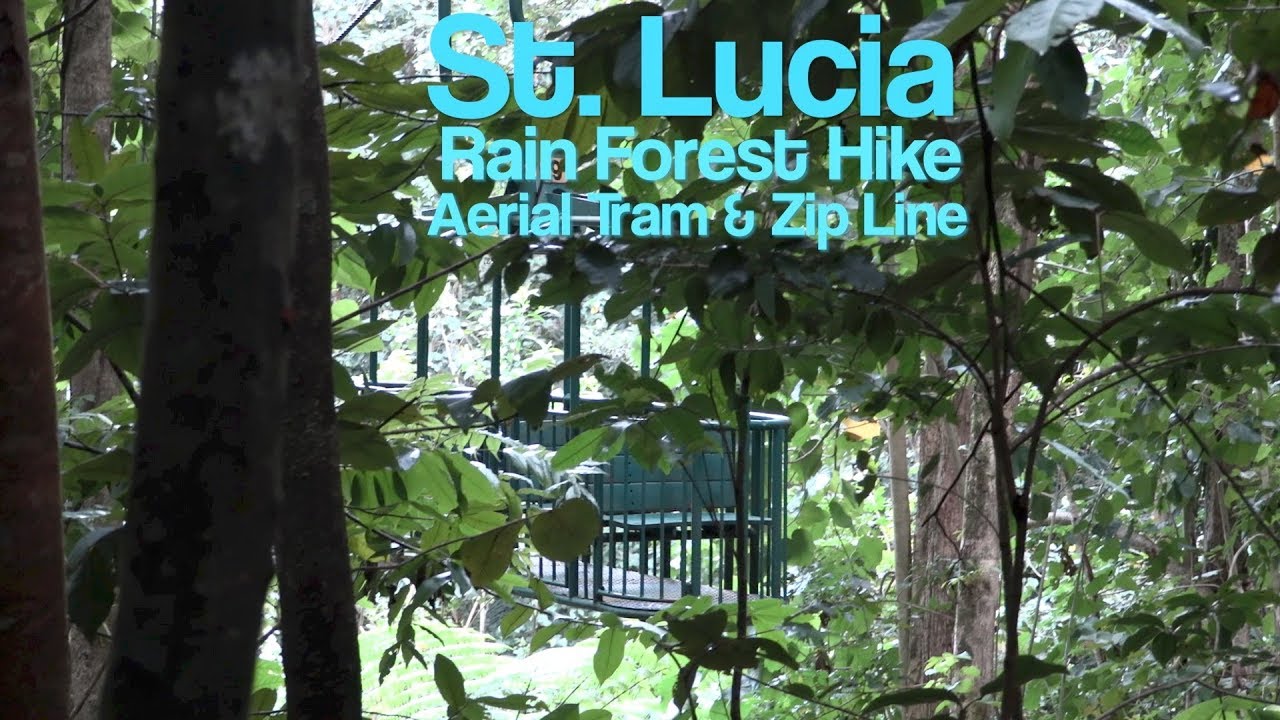 St. Lucia. Jaquot Trail Hike, the Aerial Tram and Zip Line Adventure