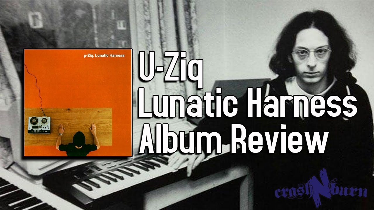 An Amazing IDM Classic From The 90s - U Ziq Lunatic Harness Album Review